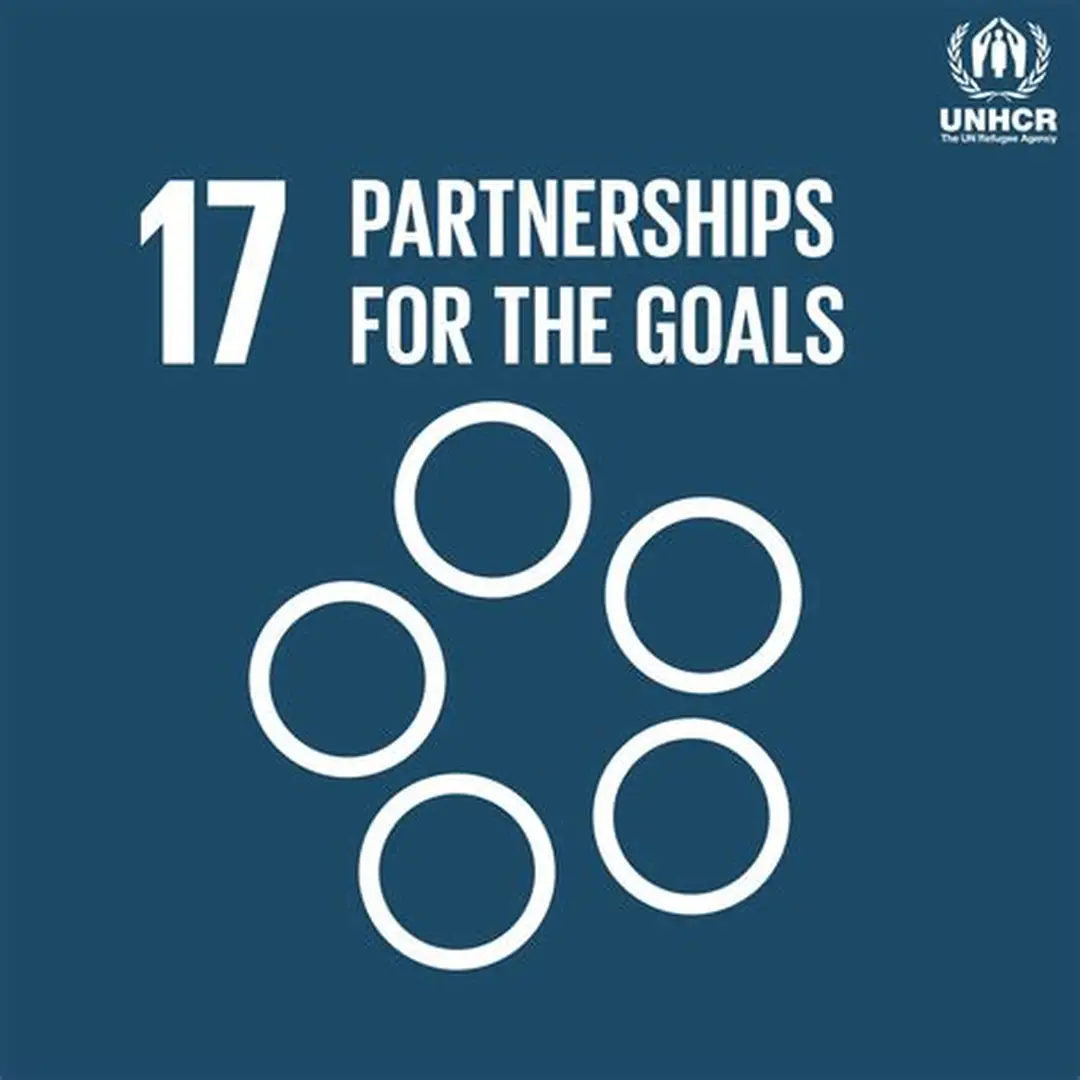 Partnerships for the Goals